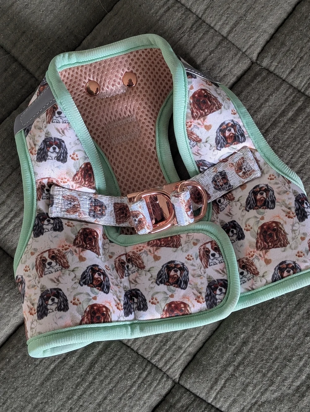 NWOT Cavology Step In Harness